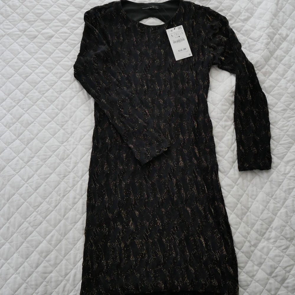 Sparkly Gold & Black Zara Bodycon Dress
